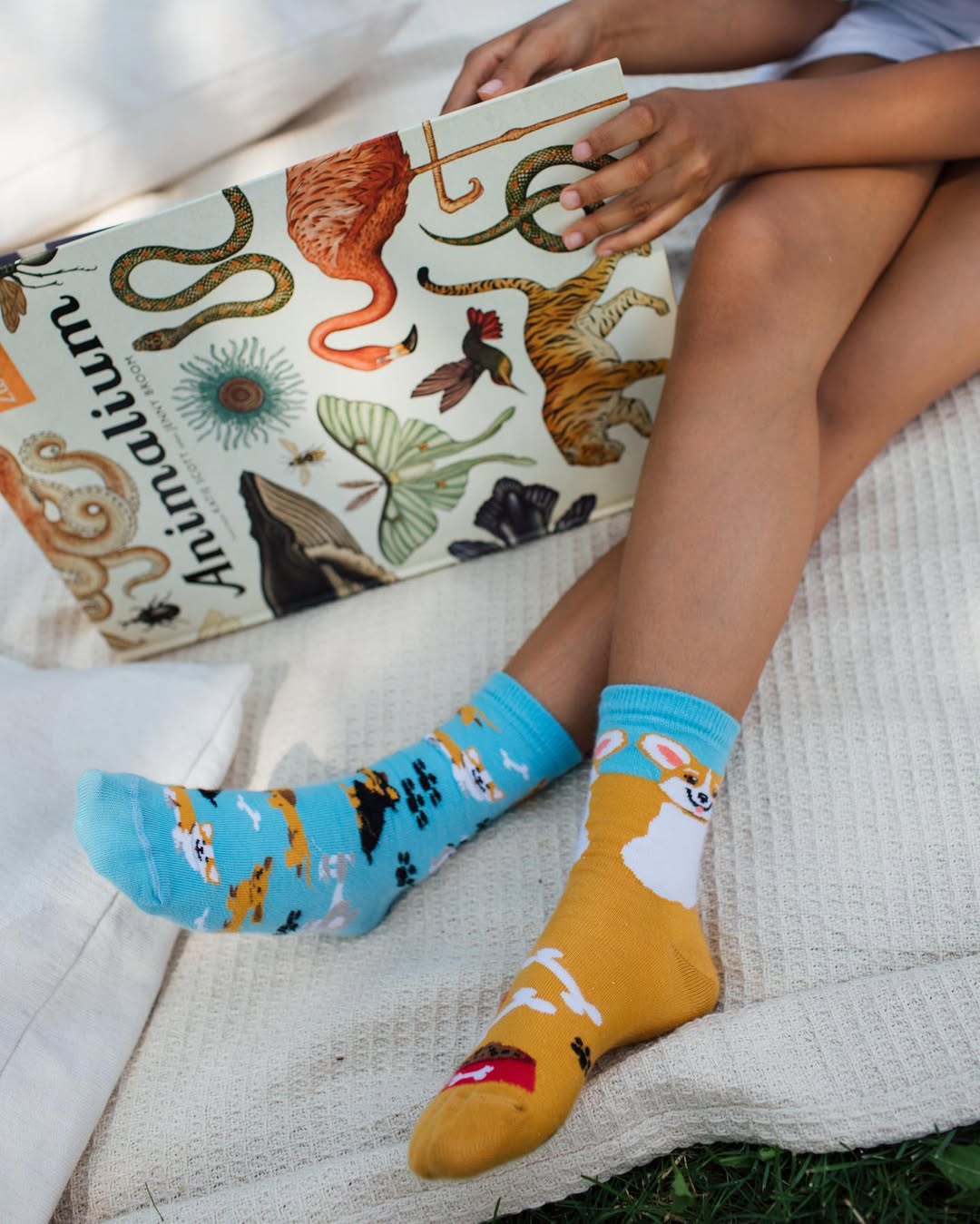 🎒 Rentrée scolaire : la chaussette funky, l’accessoire incontournable et le cadeau parfait !