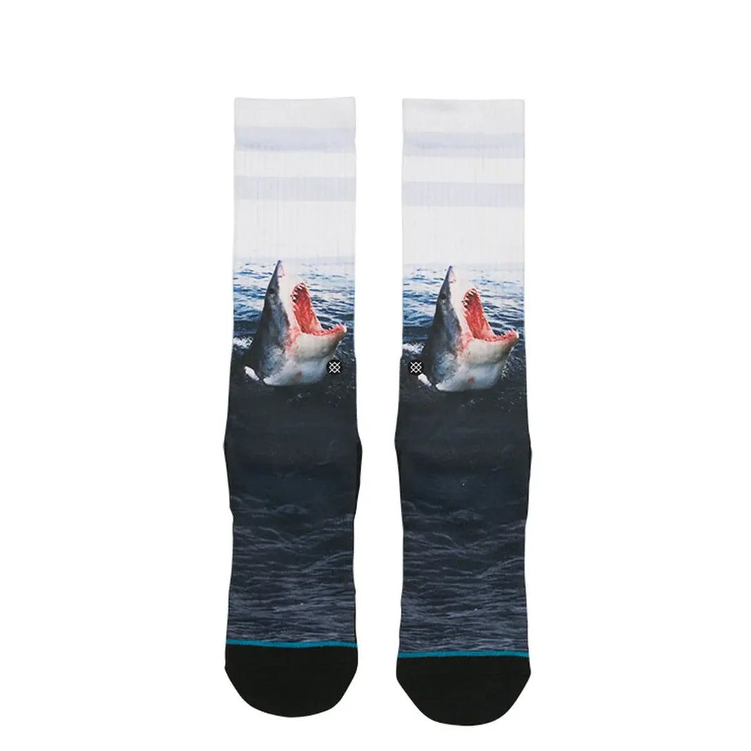 Landlord - FunkyFeets