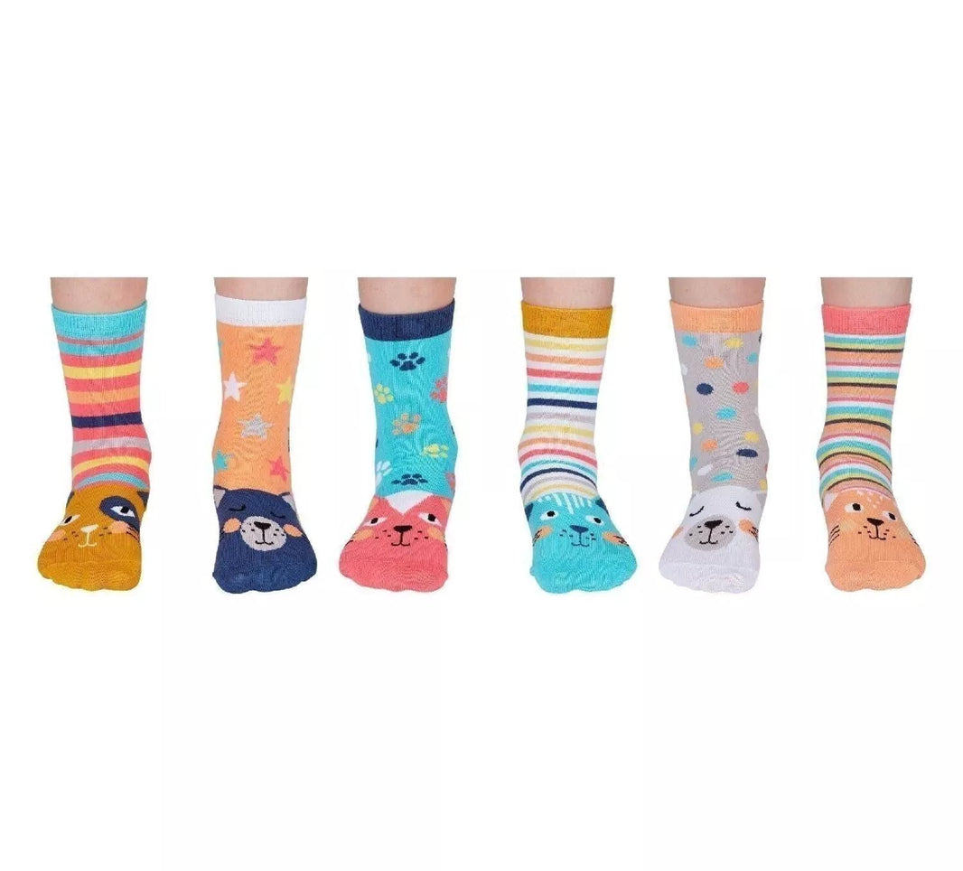 Coffret - Catkins - FunkyFeets