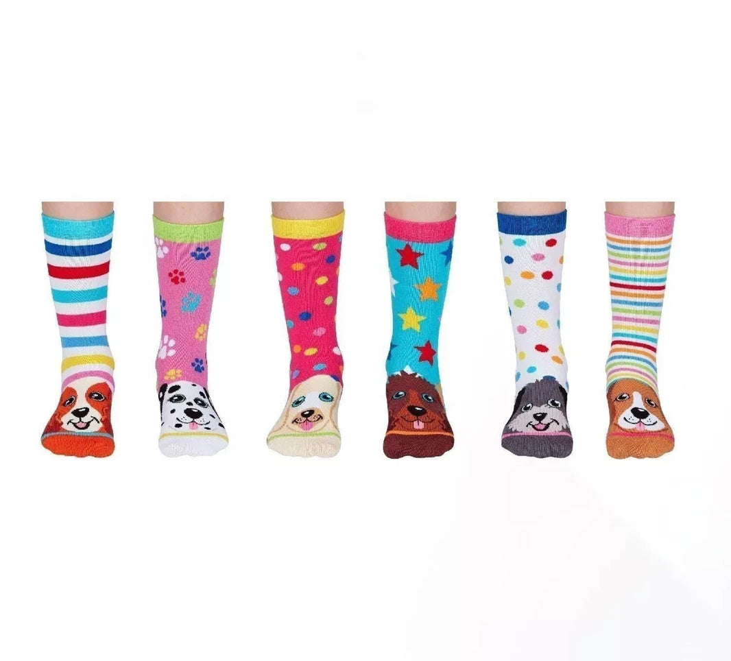 Coffret - Pupstars - FunkyFeets