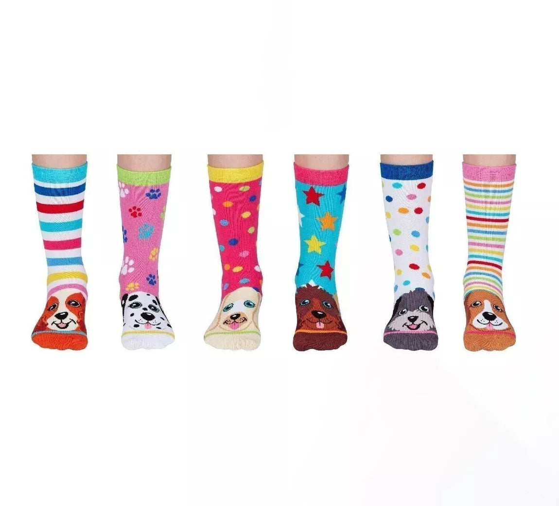 Coffret - Pupstars - FunkyFeets