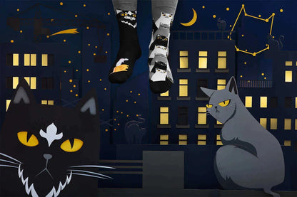 Black Cat ManyMornings
