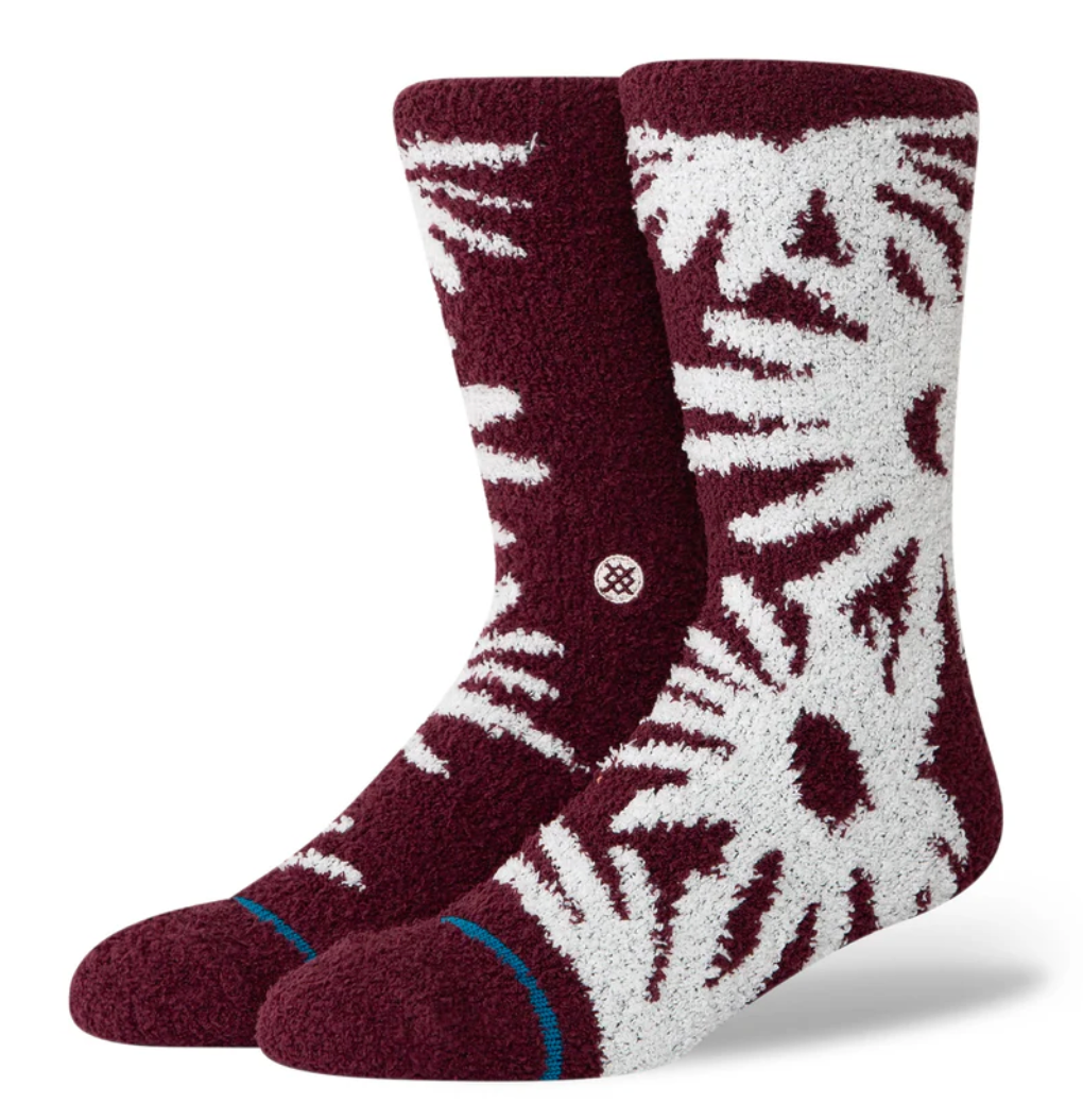 Daisies Cozy