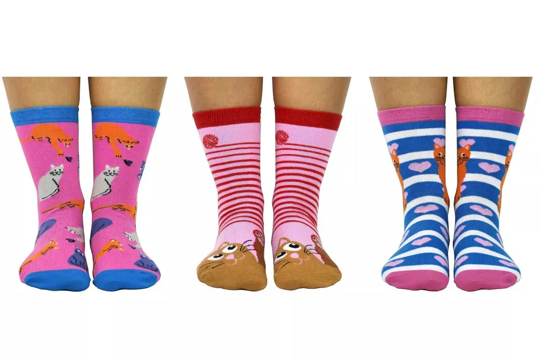 Coffret - Cat Socks - FunkyFeets