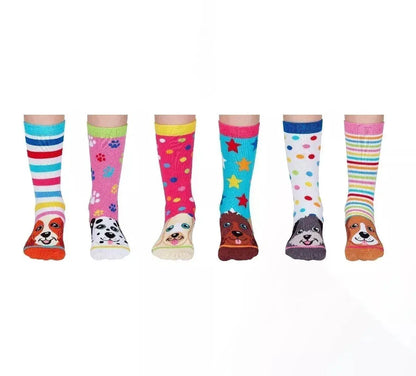 Coffret - Pupstars - FunkyFeets