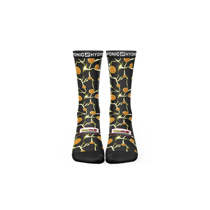 Dragon Ball Z ™ - 7 Boules De Cristal - Chaussettes