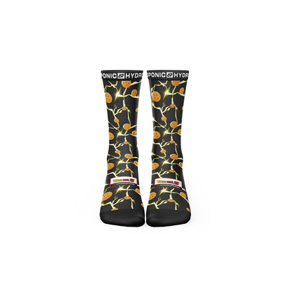 Dragon Ball Z ™ - 7 Boules De Cristal - FunkyFeets